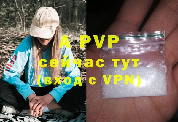стафф Заводоуковск
