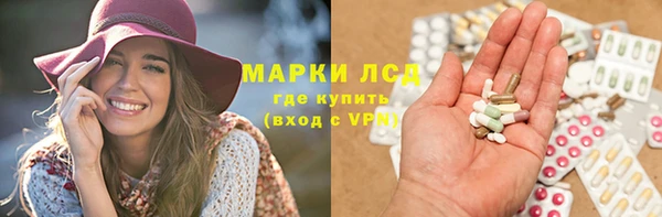 стафф Заводоуковск