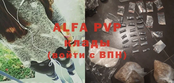 стафф Заводоуковск