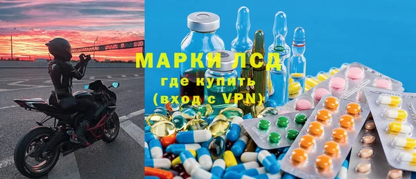 стафф Заводоуковск