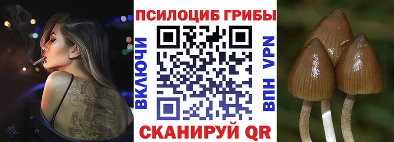 наркота  Суворов  даркнет состав  Галлюциногенные грибы Magic Shrooms 